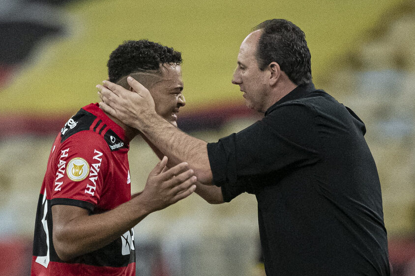 image para ilustrar o artigo