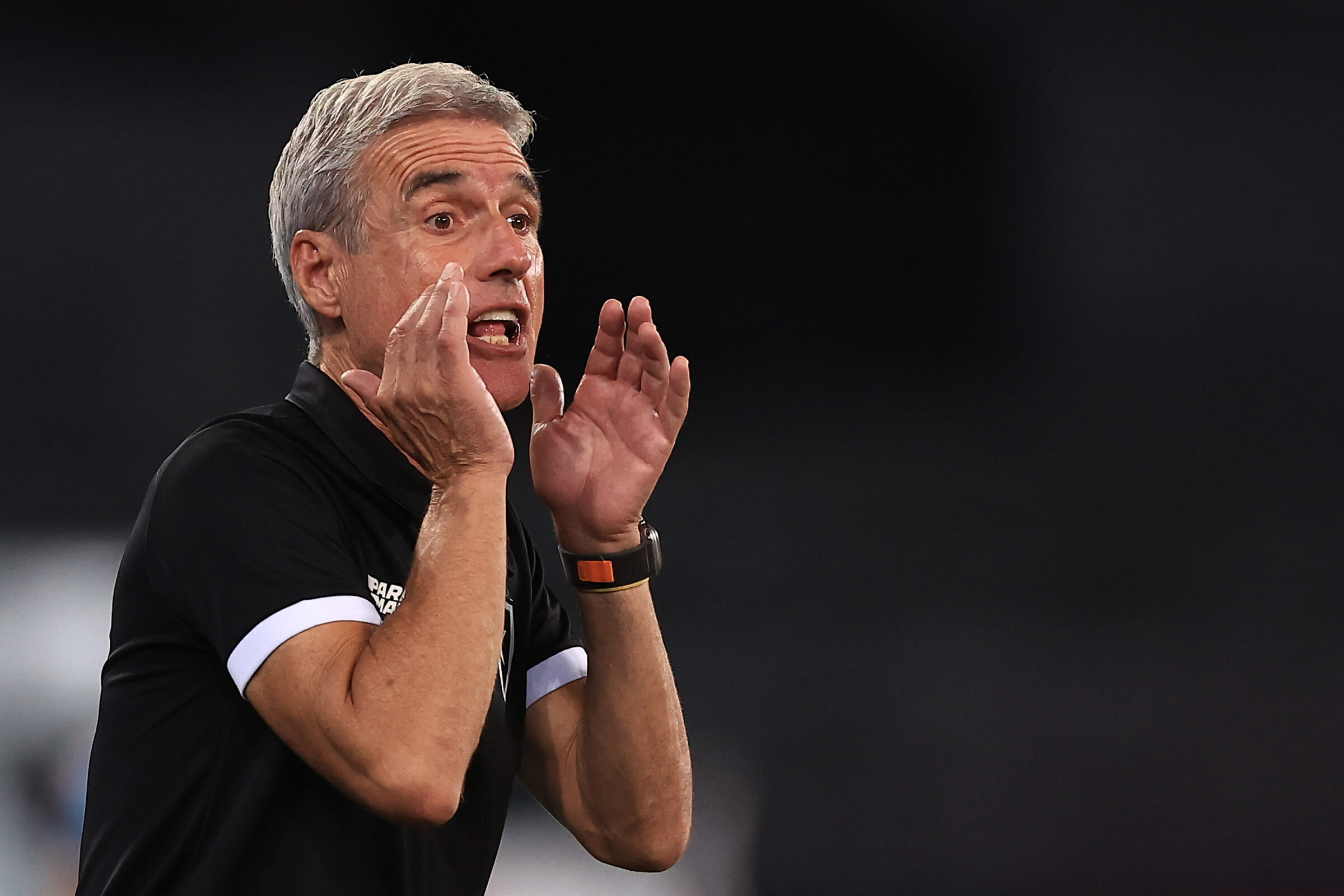 Luís Castro, técnico do Botafogo