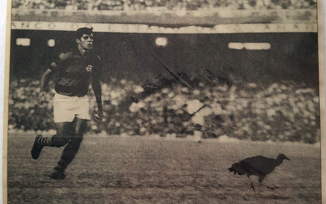 Urubu passeia em campo com jogador do Flamengo tentando afastá-lo. Torcedores do Flamengo o soltaram como forma de combate ao preconceito. Desde então o Urubu do Flamengo tornou-se mascote.