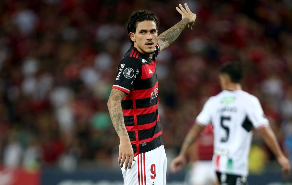 Pedro durante Flamengo x Palestino