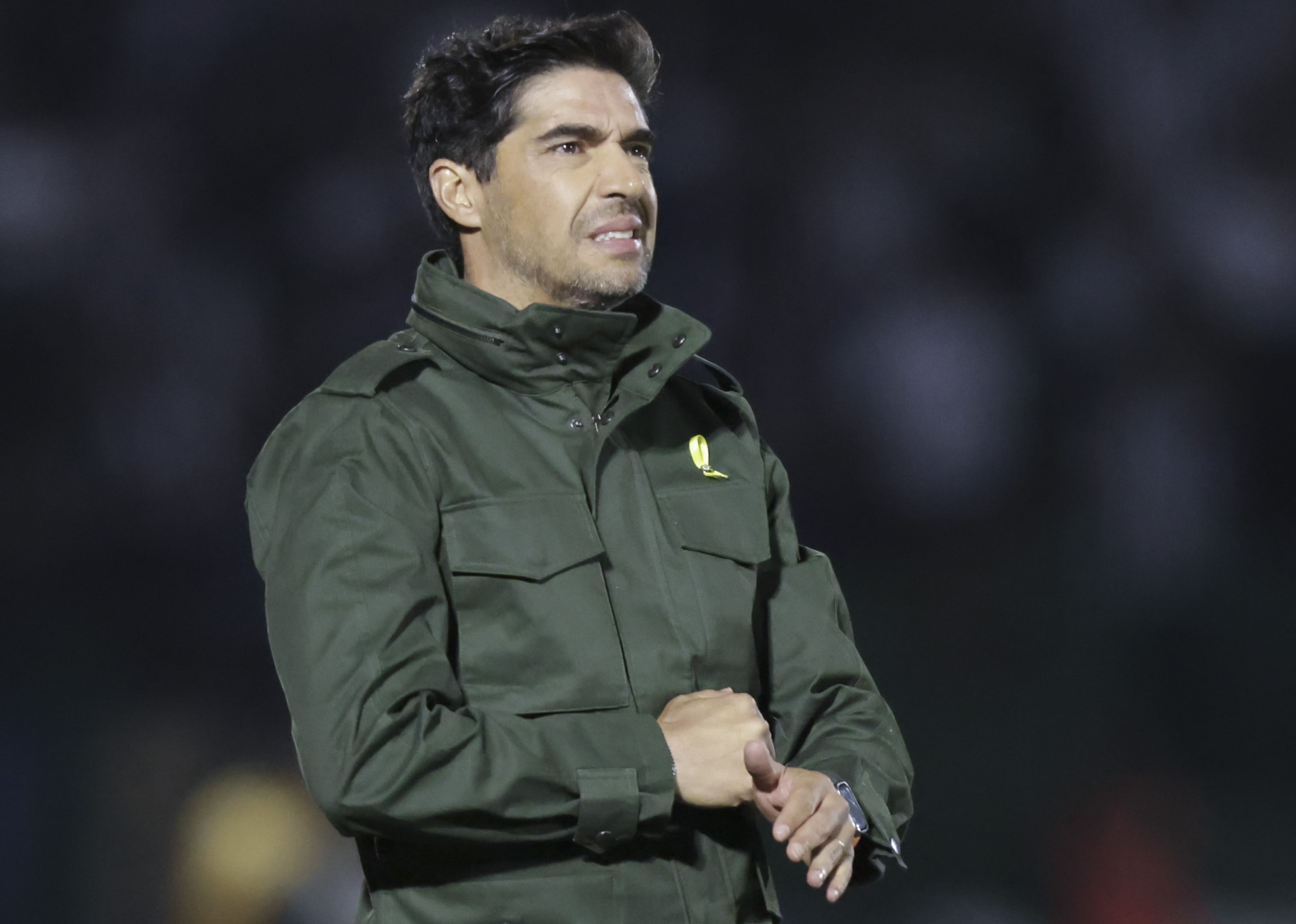 Palmeiras tem desfalques de peso para enfrentar Flamengo