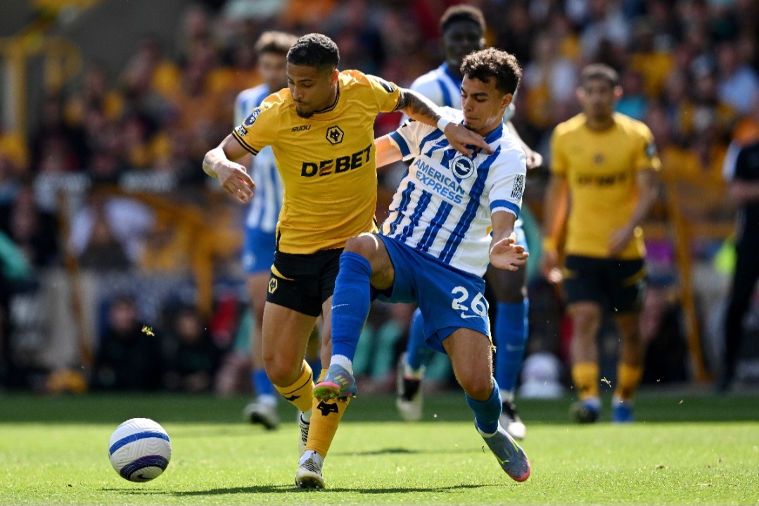 João Gomes tem bom aproveitamento nos passes, mas é substituído por Vitor Pereira e Wolverhampton perde para Brighton