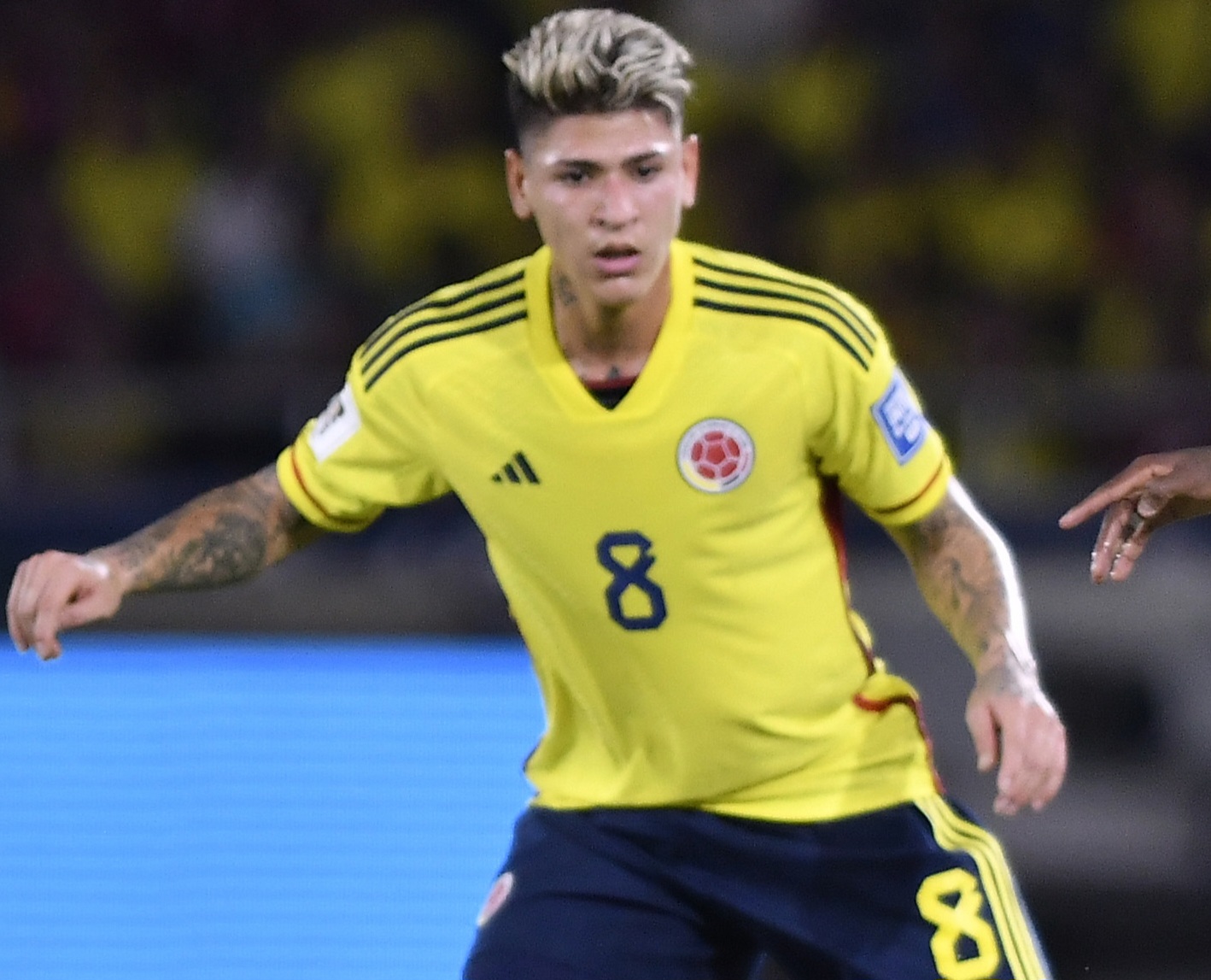 image para ilustrar o artigo