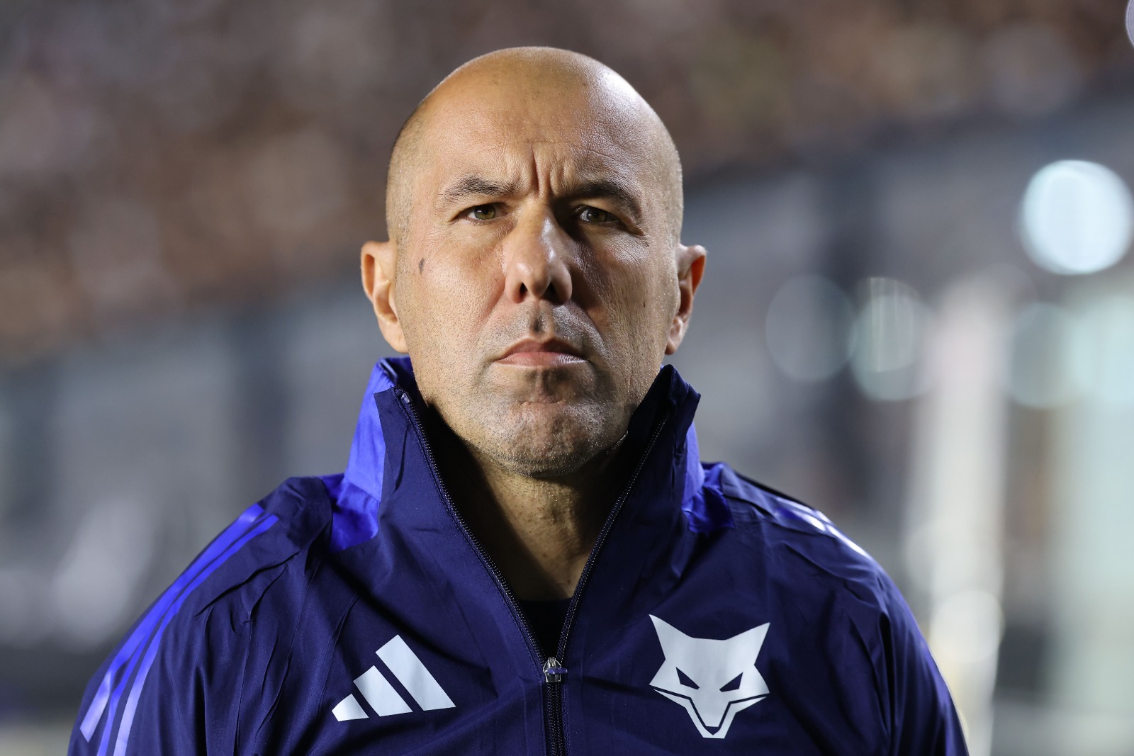 image para ilustrar o artigo